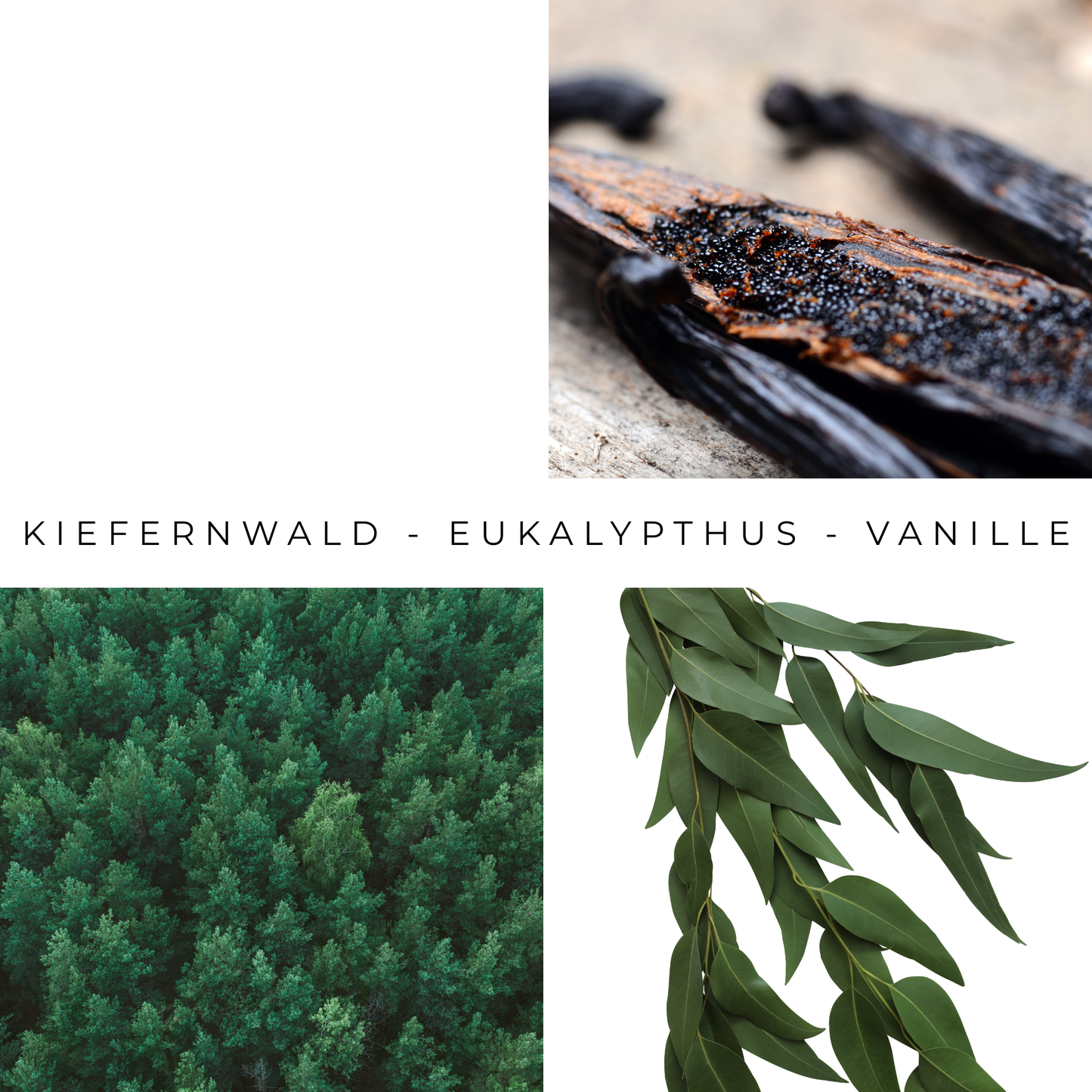 Set Dune - Diffuser and Scented Wax Melts