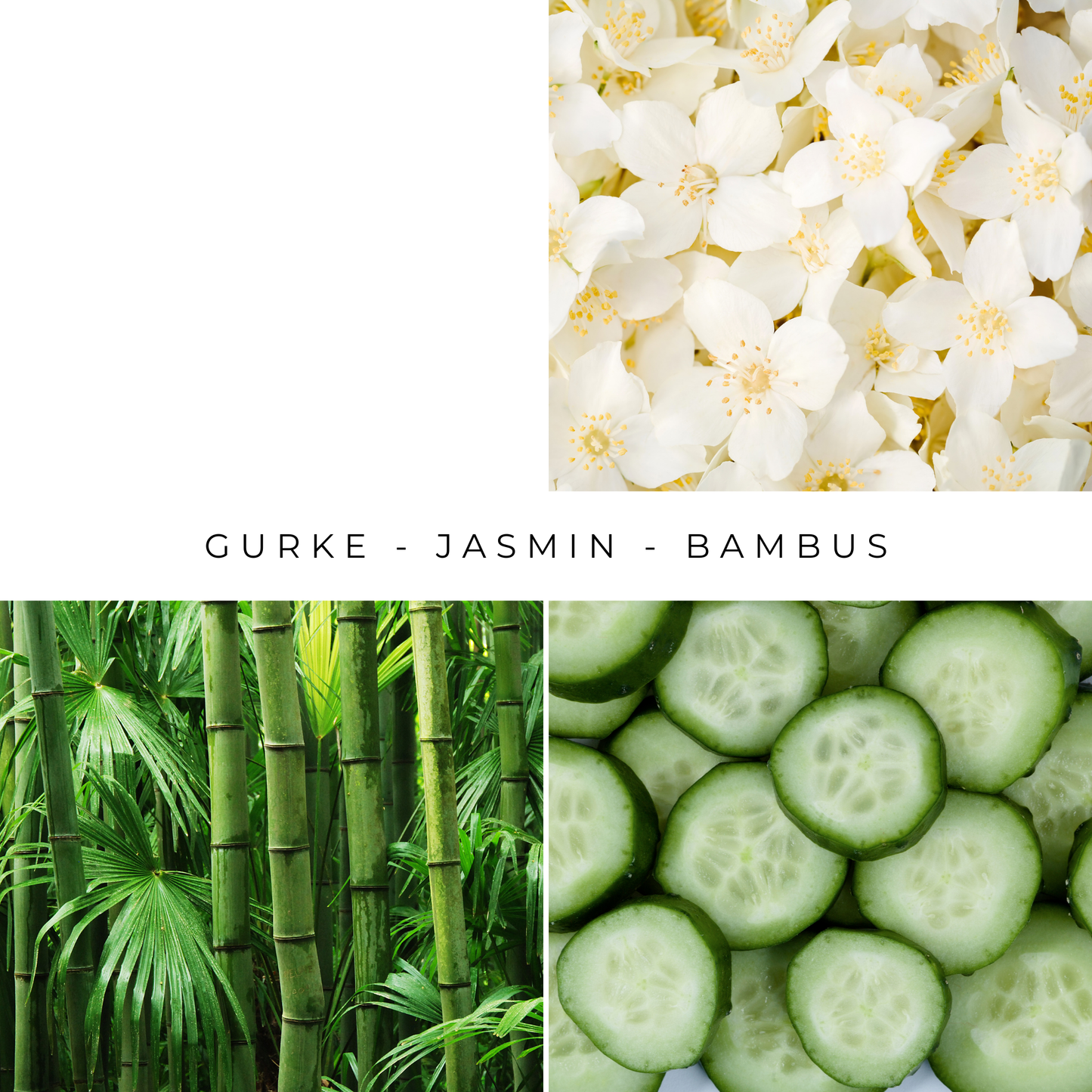 Set Dune - Diffuser and Scented Wax Melts