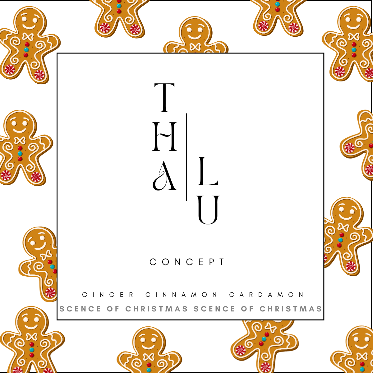 Ingwer - Zimt - Kardamom