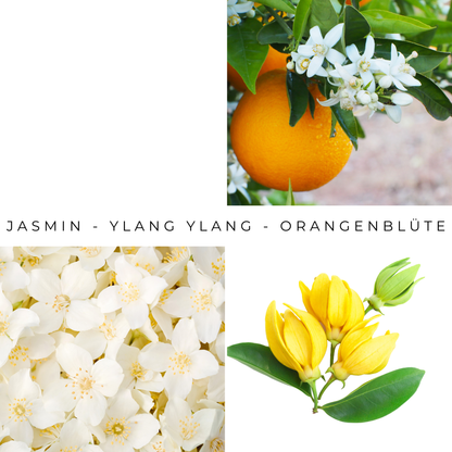 Set Marble Beige - Diffuser and Scented Wax Melts