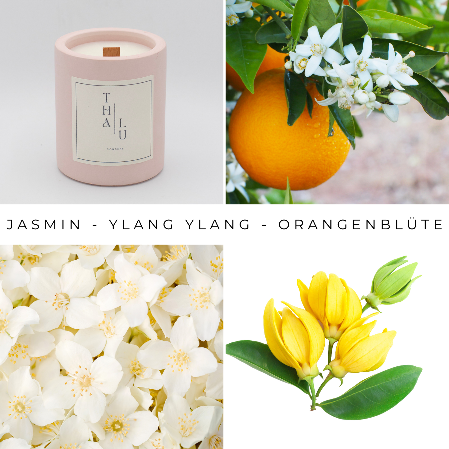Soft Color - Blush