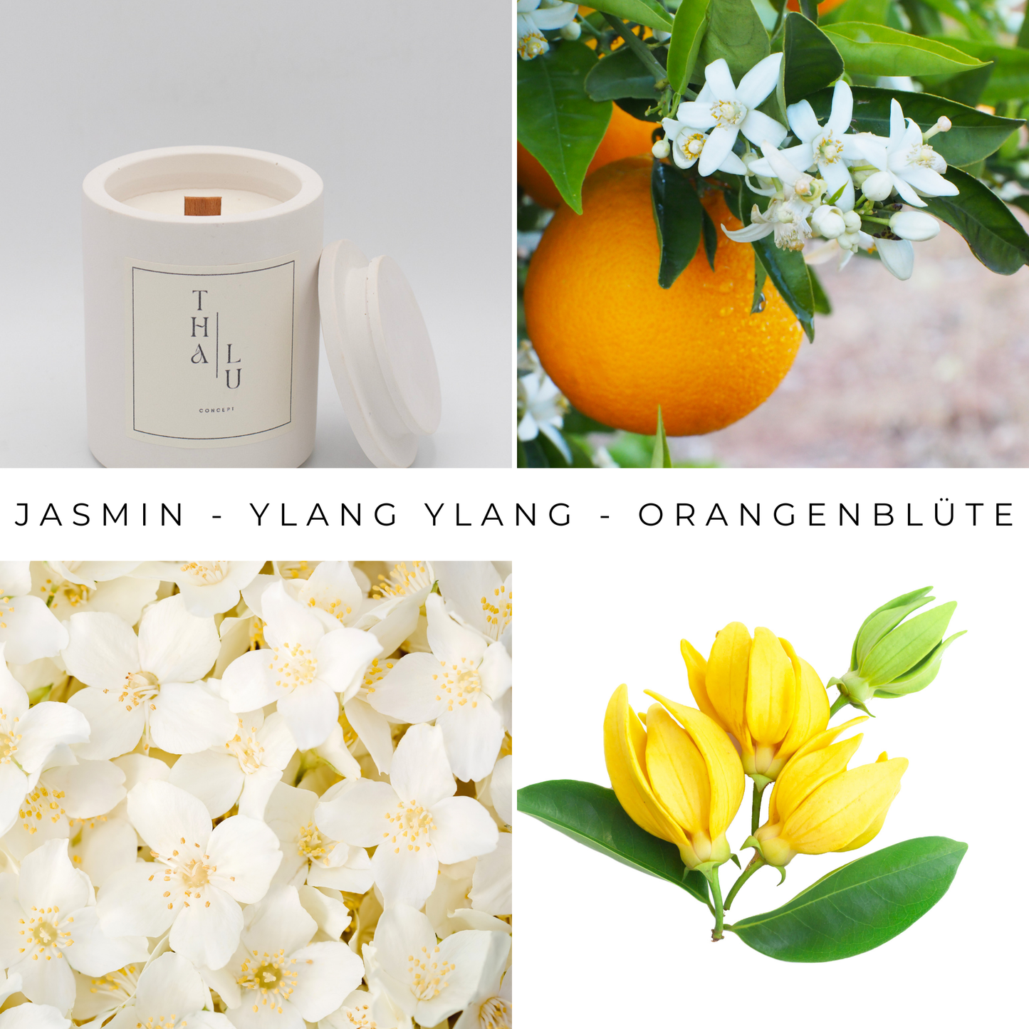 Natural Harmony - Creamwhite