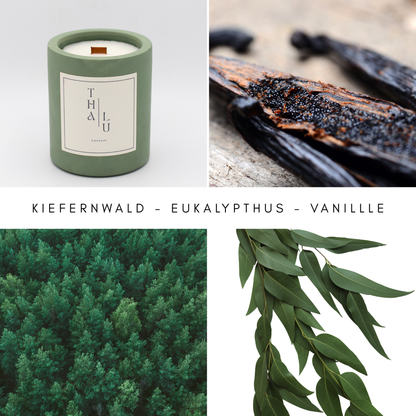 Natural Harmony - Forest