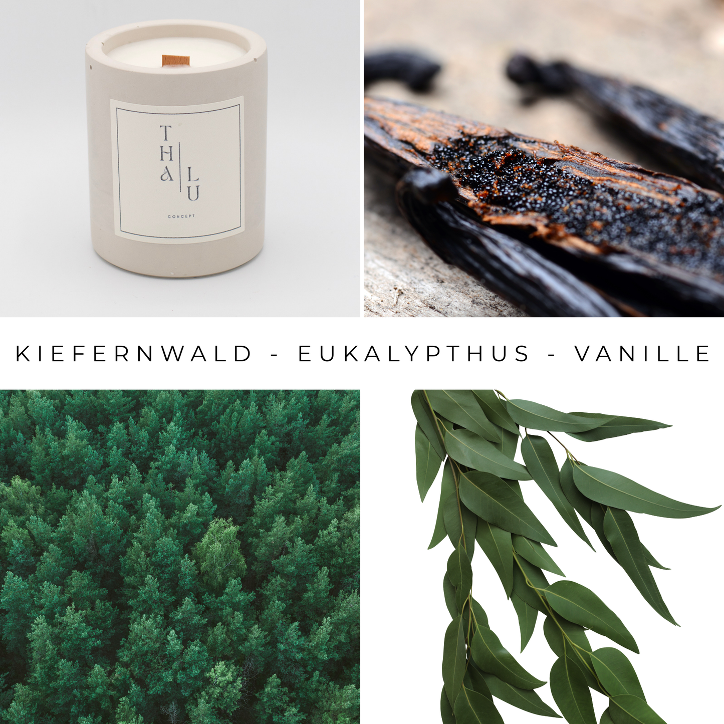 Natural Harmony - Greige
