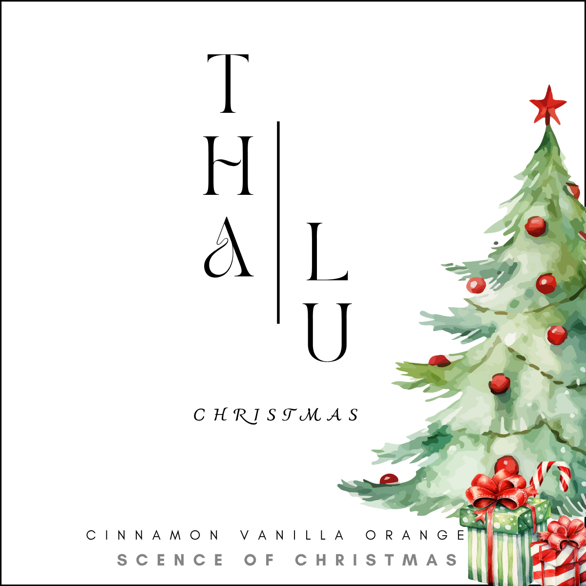 Zimt - Vanille - Orange