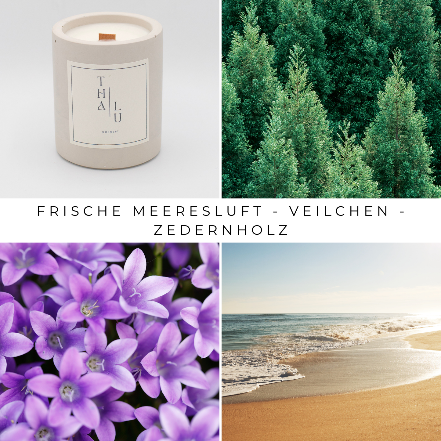 Natural Harmony - Greige