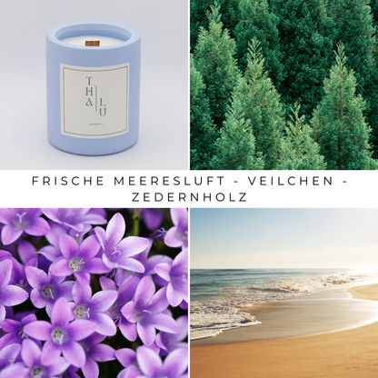 Soft Color - Blueberry