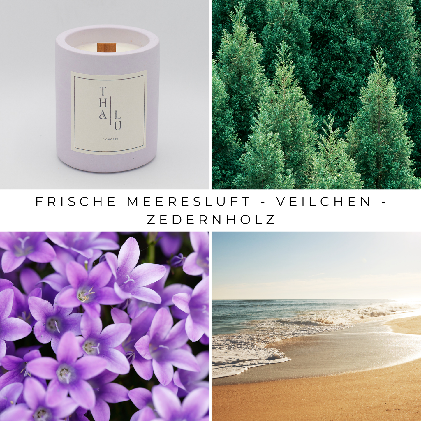 Soft Color - Violet